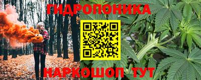 дмт Новозыбков