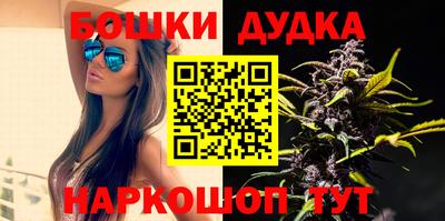 дмт Новозыбков