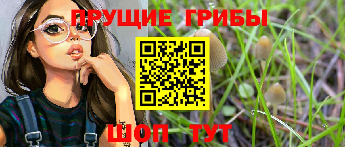 Псилоцибиновые грибы MAGIC MUSHROOMS  Вход с VPN  Псилоцибиновые грибы мухоморы  Тимашёвск 